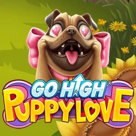 Go High Puppy Love online game logo by RubyPlay on morospinscasino.ca