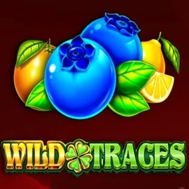 Wild Traces game by Amusnet Interactive – logo hosted on Morospin Casino